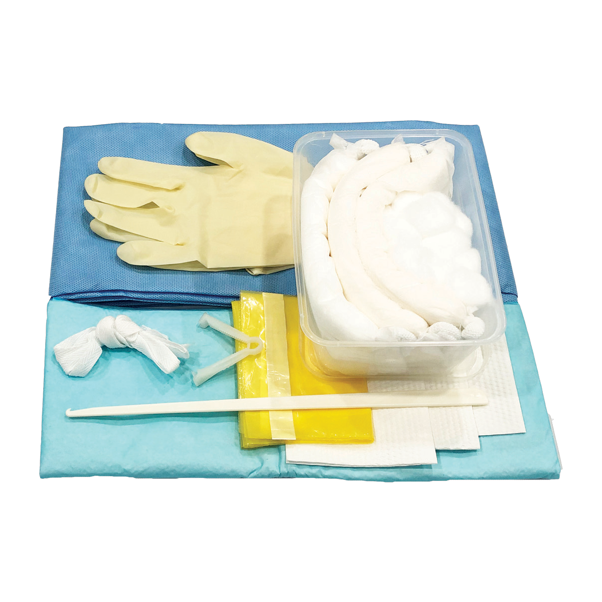 Disposable Delivery Set